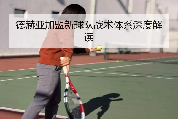 德赫亚加盟新球队战术体系深度解读