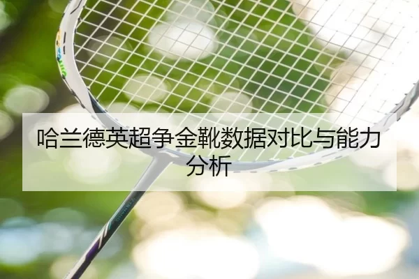 哈兰德英超争金靴数据对比与能力分析