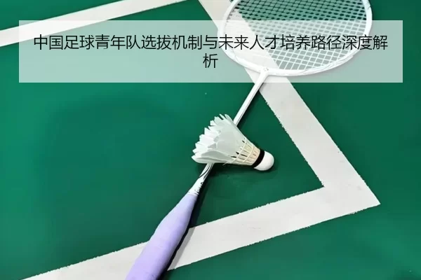 中国足球青年队选拔机制与未来人才培养路径深度解析